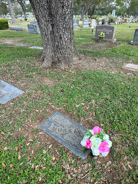 Flower delivery for Patsy Hoskins Morris