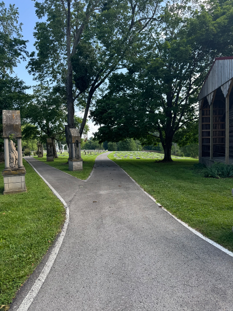 Flower delivery for Patricia Anne Cullen