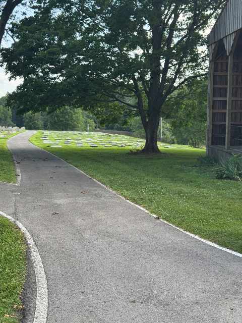 Flower delivery for Patricia Anne Cullen
