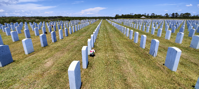 Flower delivery for James T Hanley