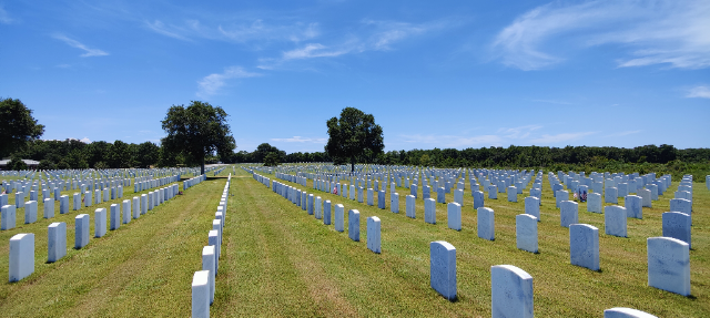 Flower delivery for James T Hanley