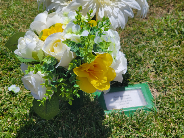 Flower delivery for Hasti Yaghmai