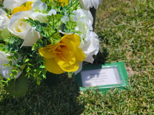 Flower delivery for Hasti Yaghmai