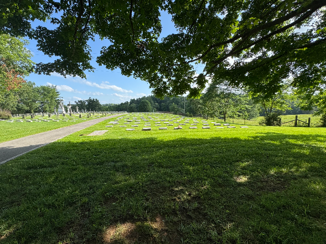 Flower delivery for Patricia Anne Cullen