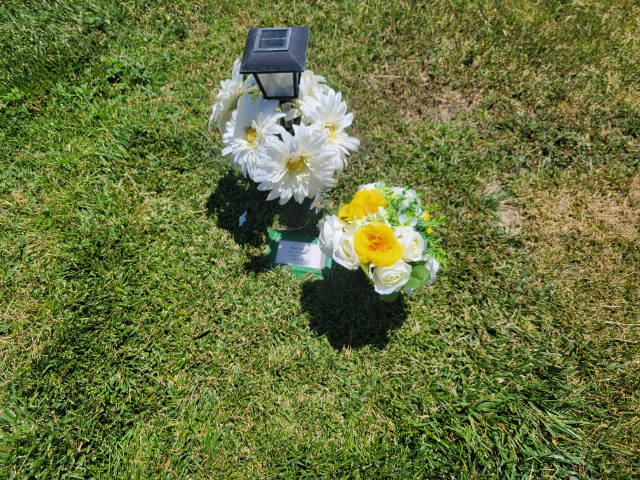 Flower delivery for Hasti Yaghmai