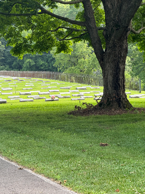 Flower delivery for Patricia Anne Cullen