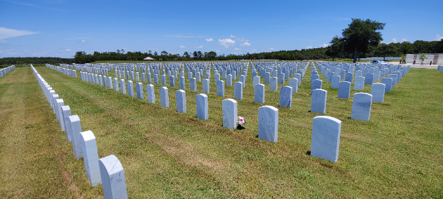 Flower delivery for James T Hanley