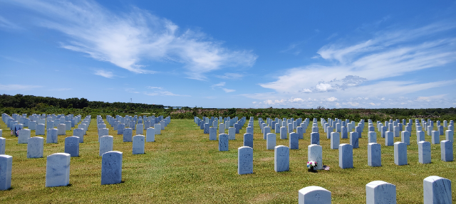 Flower delivery for James T Hanley