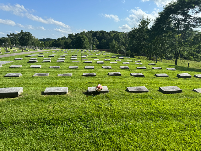 Flower delivery for Patricia Anne Cullen