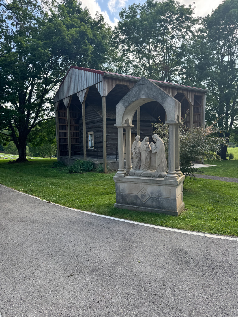 Flower delivery for Patricia Anne Cullen