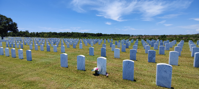 Flower delivery for James T Hanley