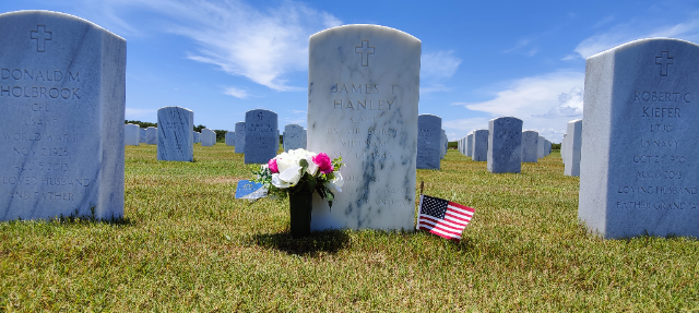 Flower delivery for James T Hanley
