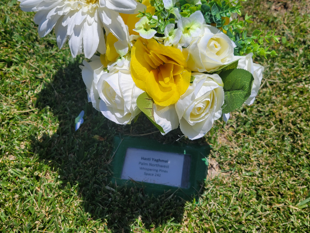 Flower delivery for Hasti Yaghmai