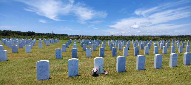 Flower delivery for James T Hanley