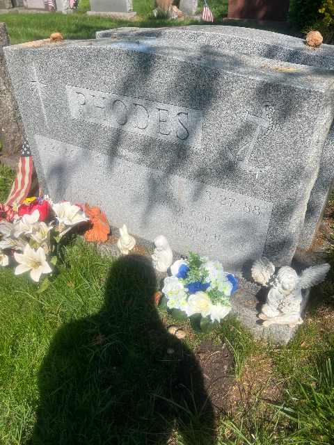 Flower delivery for Sandra Ann Rhodes