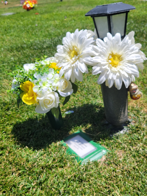 Flower delivery for Hasti Yaghmai