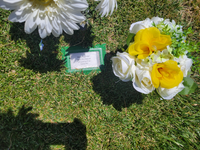 Flower delivery for Hasti Yaghmai