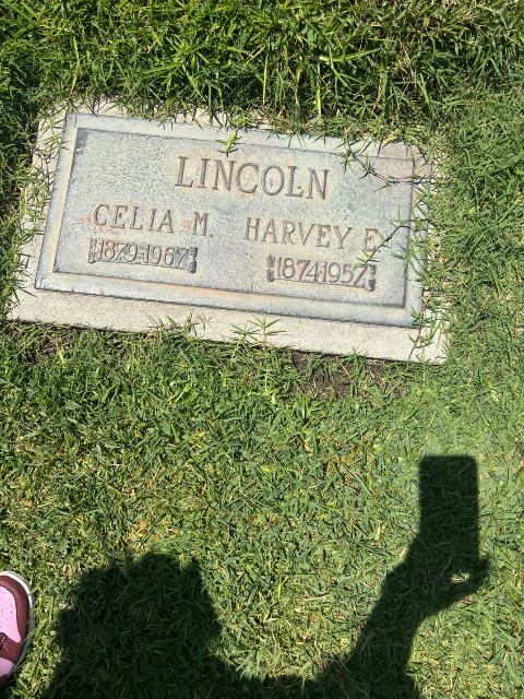 Flower delivery for Harvey Elwell Lincoln