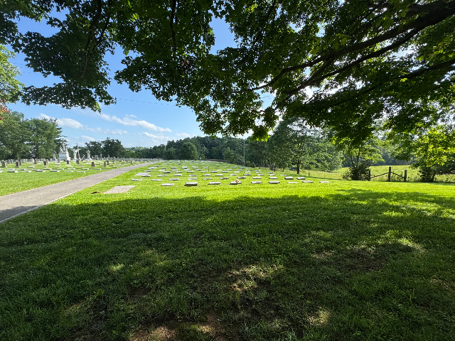 Flower delivery for Patricia Anne Cullen