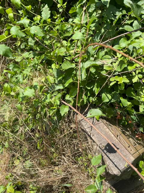 Flower delivery for Dorothy M. Twaddell