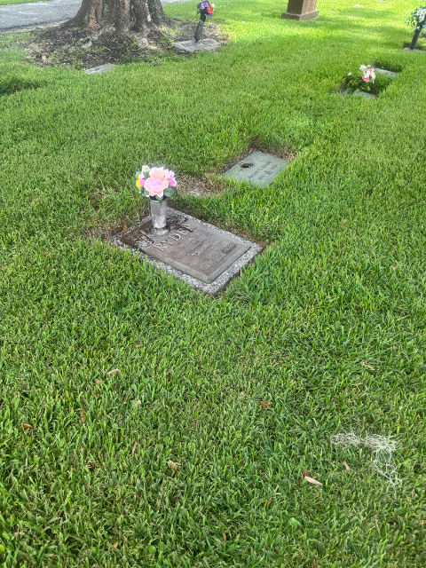 Flower delivery for Jean Elizabeth Ryder