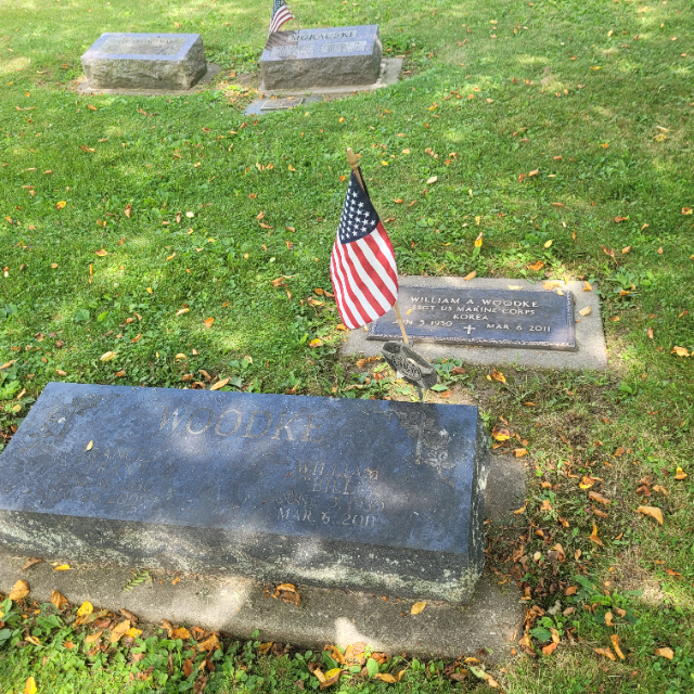 Flower delivery for Jill M. Woodke