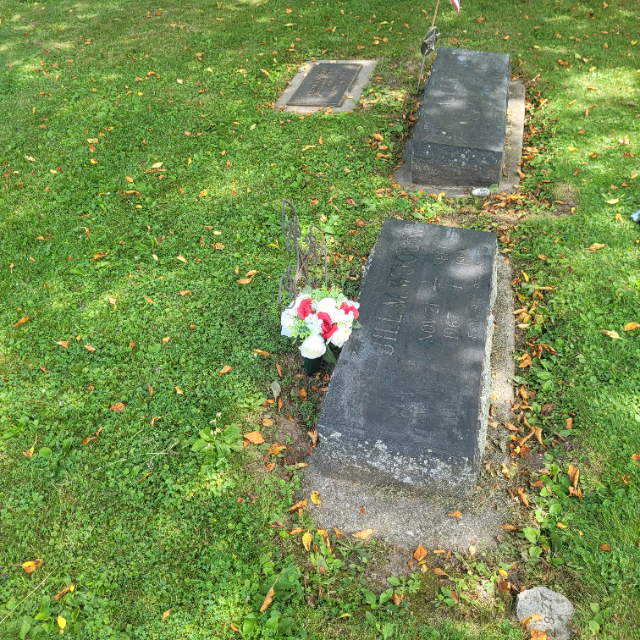 Flower delivery for Jill M. Woodke