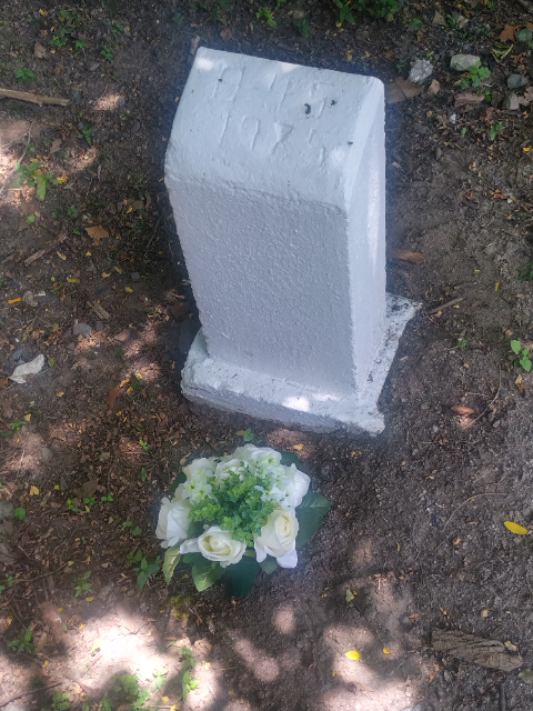 Flower delivery for Anita Mitchell