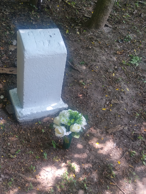 Flower delivery for Anita Mitchell