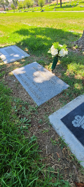 Flower delivery for Sara Thom Hewitt