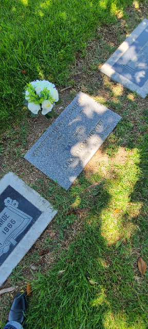 Flower delivery for Sara Thom Hewitt