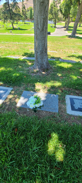 Flower delivery for Sara Thom Hewitt