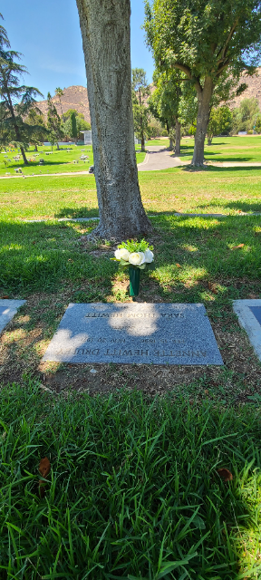 Flower delivery for Sara Thom Hewitt