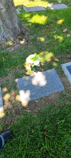 Flower delivery for Sara Thom Hewitt