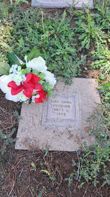 Flower delivery for Lisa Anna Anna Furnish