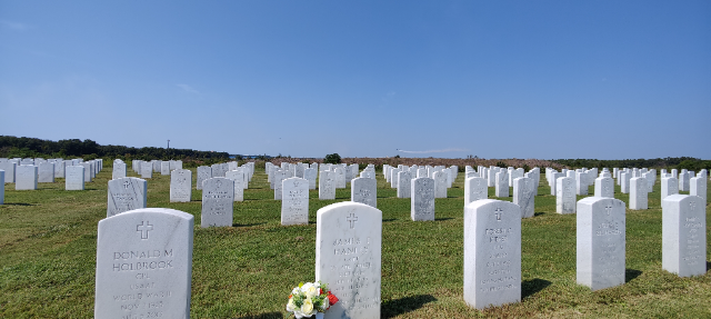 Flower delivery for James T Hanley