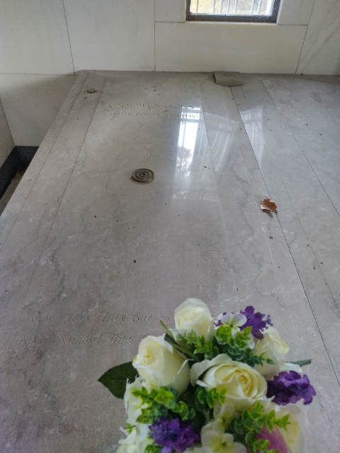 Flower delivery for Adolph Simon Ochs