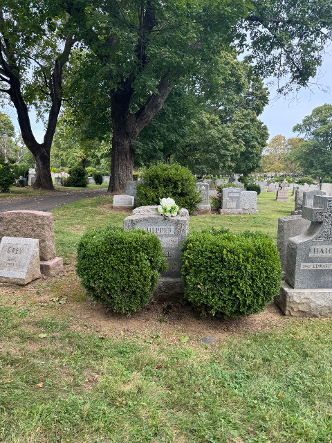 Flower delivery for place R-269 place R-269 place R-269