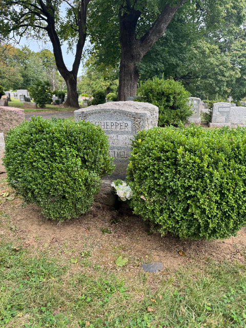 Flower delivery for place R-269 place R-269 place R-269