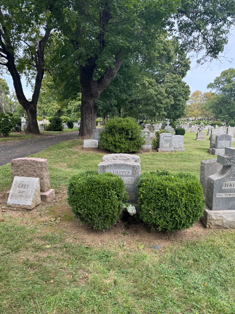 Flower delivery for place R-269 place R-269 place R-269