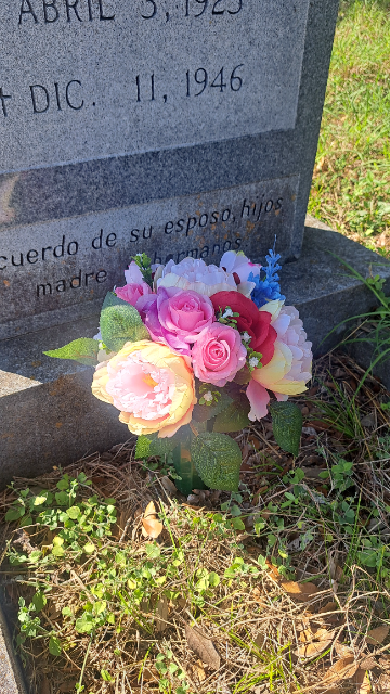 Flower delivery for Angelina Rios