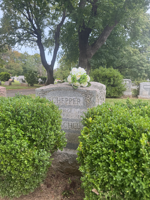 Flower delivery for place R-269 place R-269 place R-269