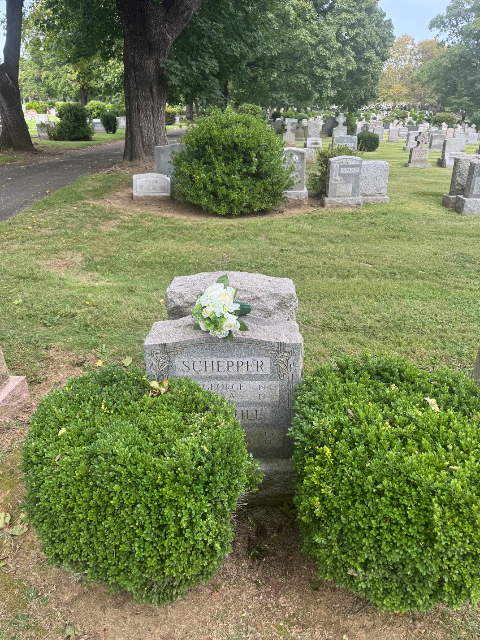 Flower delivery for place R-269 place R-269 place R-269