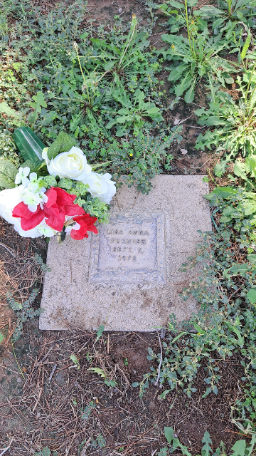 Flower delivery for Lisa Anna Anna Furnish