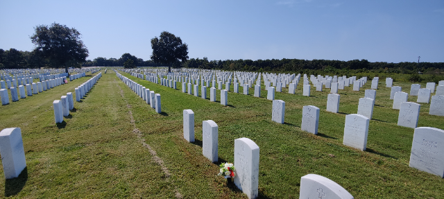 Flower delivery for James T Hanley