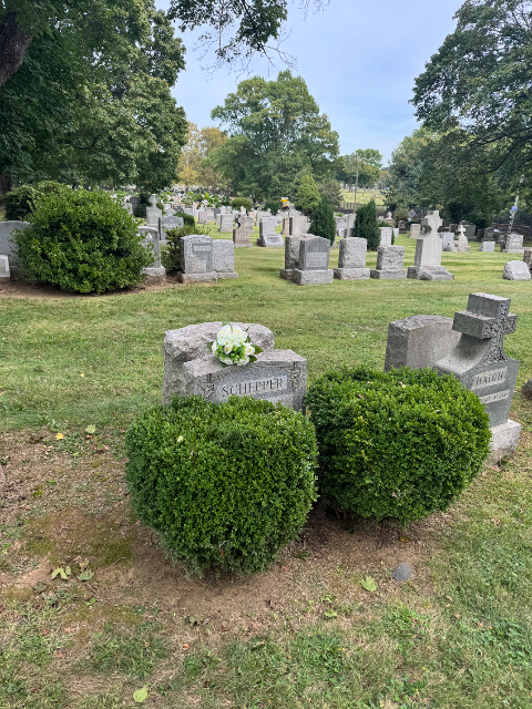 Flower delivery for place R-269 place R-269 place R-269