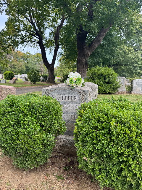 Flower delivery for place R-269 place R-269 place R-269