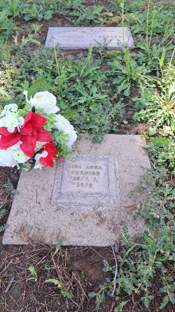 Flower delivery for Lisa Anna Anna Furnish