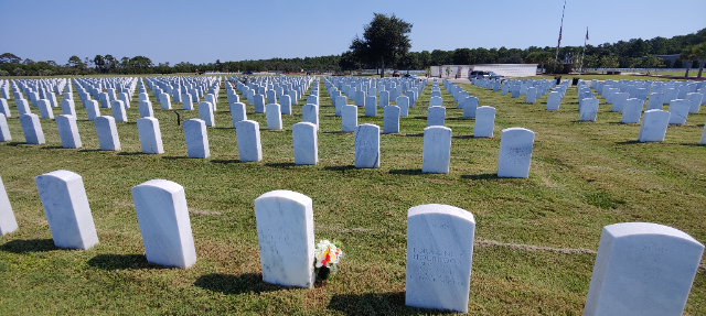 Flower delivery for James T Hanley
