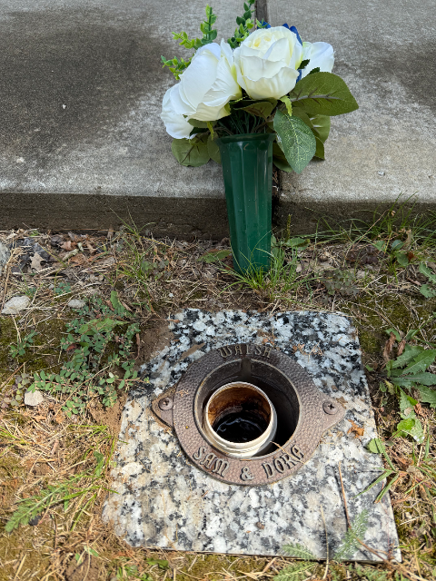 Flower delivery for Sam Baker Walsh